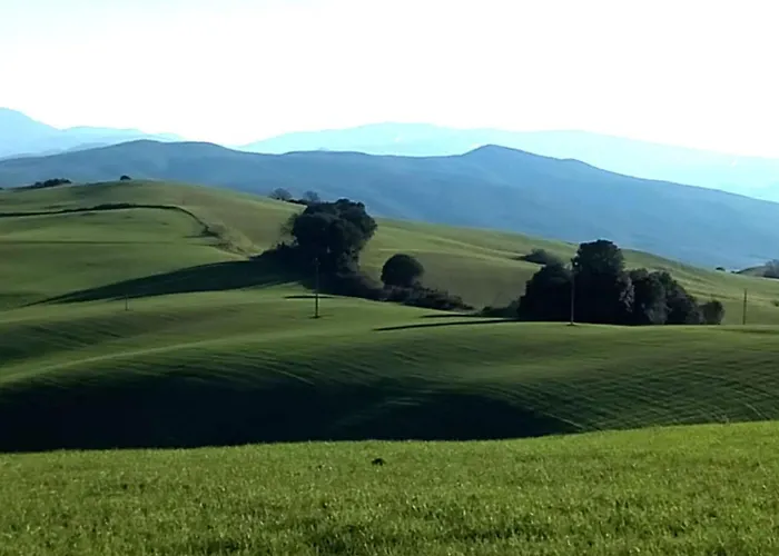 La Pecora Verde