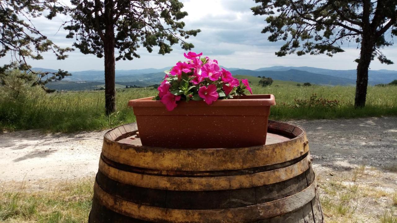 La Pecora Appartement San Gimignano