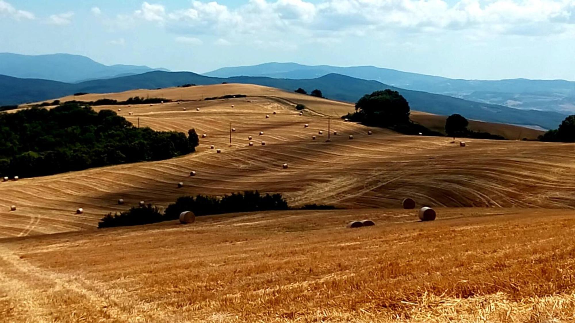 Appartement La Pecora San Gimignano
