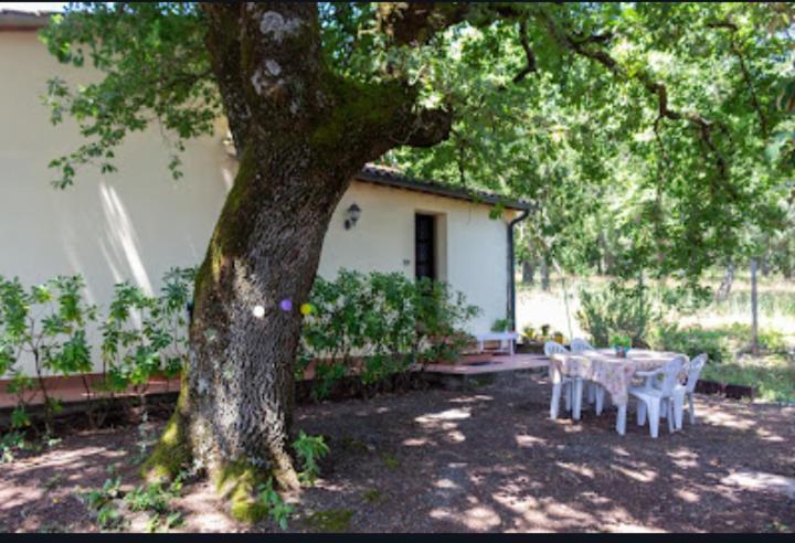 La Pecora Appartement *