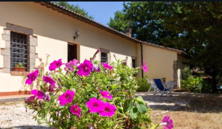 La Pecora Appartement